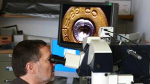 Relacionada microscopios-balisticos.jpg