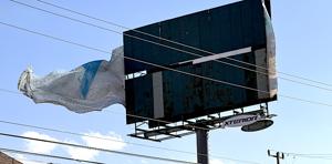 Relacionada vientochihuahua1.jpg