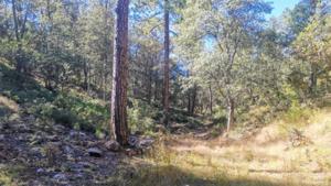 Relacionada inshot_20251028_113554017.jpg