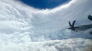 Relacionada melissa.jpg