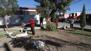 Relacionada 69012d94a956c__69012d94a956e.jpg