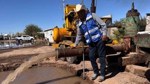 Relacionada news_2737_photos_b03be1f30b.jpg