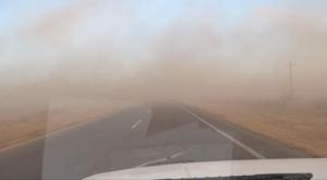 Relacionada principal_whatsapp-image-2025-03-11-at-123107-pm.jpg