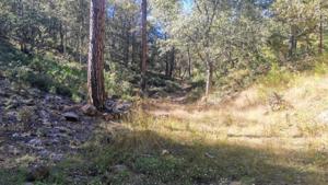 Relacionada 15554.jpg