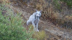 Relacionada 555103640_3284622668357075_1642896568395983782_n.jpg