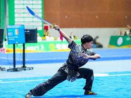 Relacionada brillsn-artes-marciales.jpg