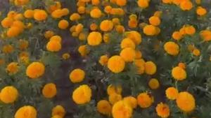 Relacionada screenshot-2025-10-29-102854-am.jpg