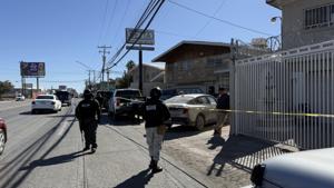 Relacionada img_7393.jpg