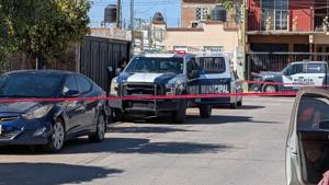 Relacionada inshot_20251029_142808030.jpg