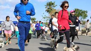 Relacionada whatsapp-image-2025-10-29-at-35810-pm.jpg