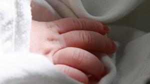 Relacionada bebe.jpg