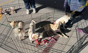 Relacionada 572982371_122167369412591972_3787889406785794864_n.jpg