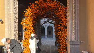 Relacionada img_4611.jpg