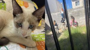 Relacionada yonsito.jpg