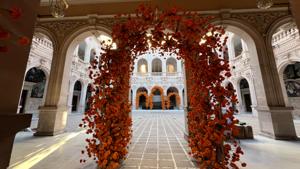 Relacionada img_4721.jpg