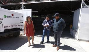 Relacionada 681a5efbb0404__681a5efbb0406.jpg