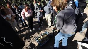 Relacionada 69050f20757d3__69050f20757d5.jpg