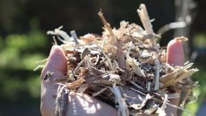 Relacionada 69050866a3503__69050866a3504.jpg