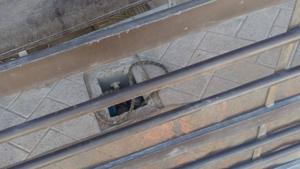 Relacionada screenshot-2025-10-31-153245-1.jpg