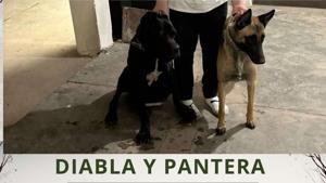 Relacionada 566715834_1973755799859756_6159594206725715056_n.jpg