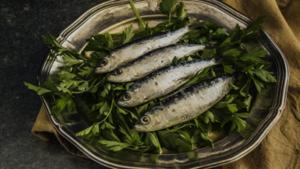 Relacionada screenshot-2025-10-31-195127-1.jpg