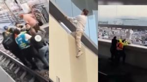 Relacionada dddd.jpg