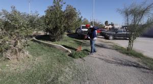 Relacionada whatsapp-image-2025-11-01-at-93301-am.jpg