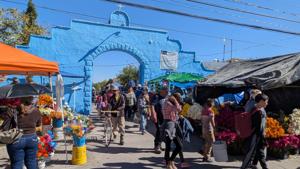 Relacionada inshot_20251101_121004167.jpg