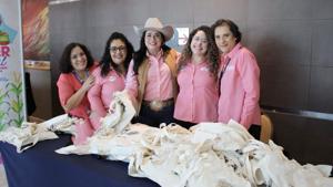 Relacionada whatsapp-image-2025-11-01-at-121936-pm-1.jpg