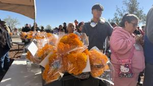 Relacionada img_7481.jpg