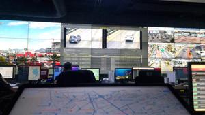 Relacionada pecuu-cuatro.jpg