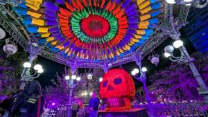 Relacionada 16328.jpg