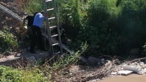 Relacionada cuerpos.jpg