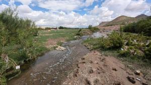 Relacionada principal_inshot_20240723_121608043.jpg