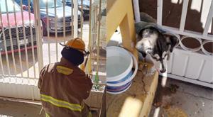 Relacionada descarga-17.jpg