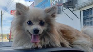 Relacionada whatsapp-image-2025-11-03-at-42745-pm.jpg