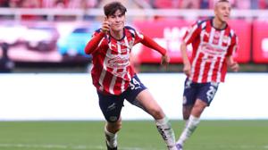 Relacionada hormiga.jpg