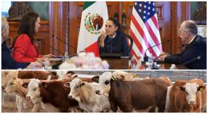 Relacionada sheinbaum-rollins.jpg