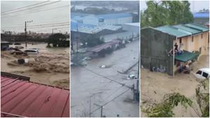 Relacionada fotojet.jpg