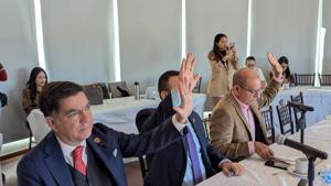 Relacionada pxl_20251104_144527027.jpg