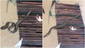 Relacionada fotojet-4.jpg