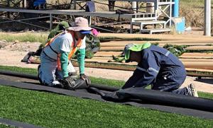 Relacionada rehabilitan-campo.jpg