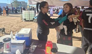 Relacionada 576264416_122168314460591972_94289980029393841_n.jpg