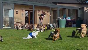 Relacionada fotojet-5.jpg