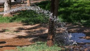 Relacionada whatsapp-image-2025-11-05-at-112746.jpg