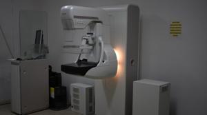 Relacionada whatsapp-image-2025-11-05-at-114513-am.jpg