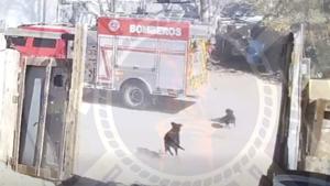 Relacionada captura-de-pantalla-2025-11-05-a-las-124557-pm.jpg