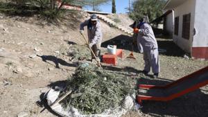 Relacionada 690bbbc3c6630__690bbbc3c6632.jpg