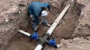 Relacionada whatsapp-image-2025-11-05-at-31029-pm.jpg