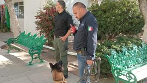 Relacionada whatsapp-image-2025-11-05-at-74840-pm.jpg